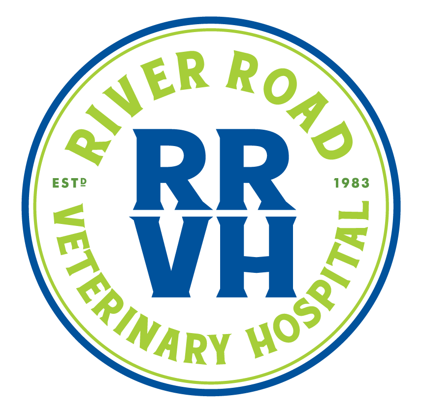 River Road Veterinary Hospital - Shop Local Nola